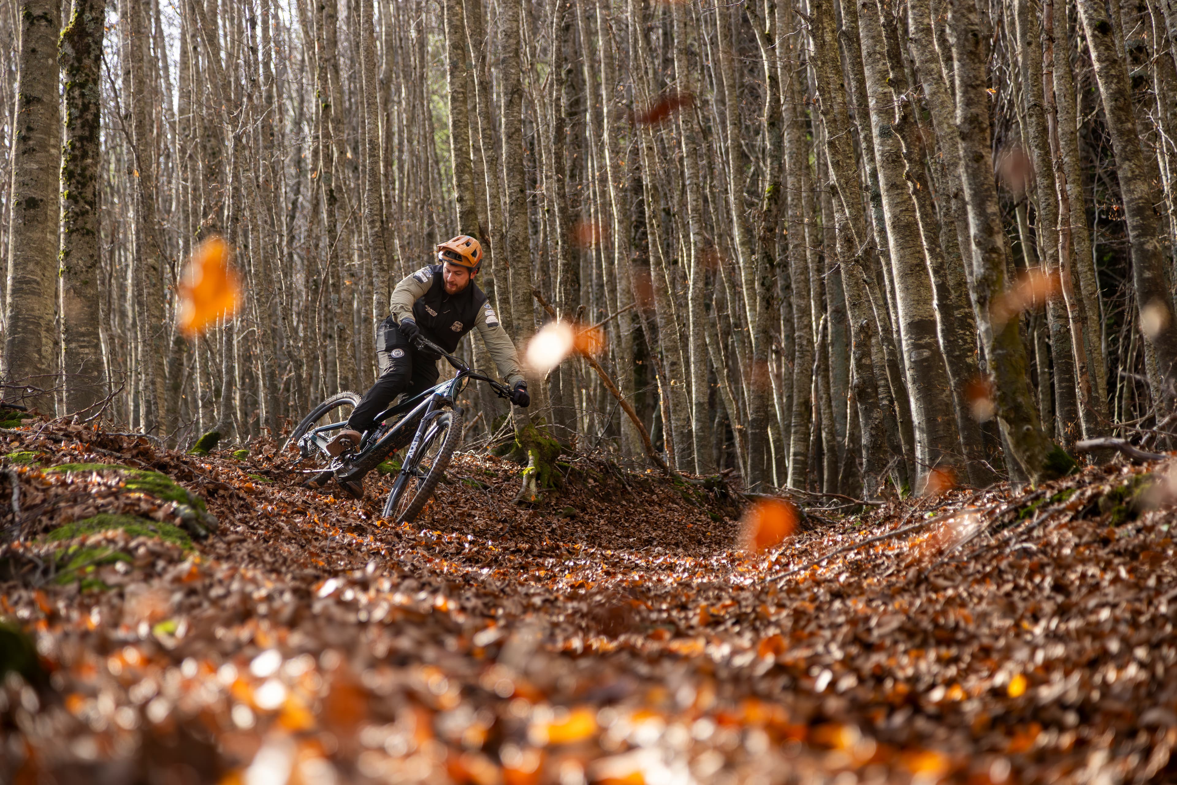 Azione sulle betulle del Monte Cimone